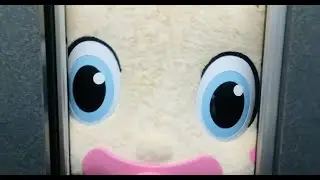 ベビタピちゃん地球上陸！babytapi funny video