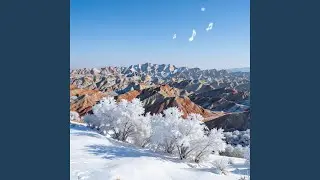 活生生的人类