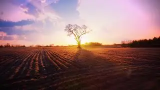 SUNRISE FPV