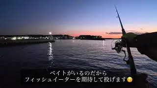三崎漁港で初フィッシュ？（超低温冷蔵庫前、1月中旬）