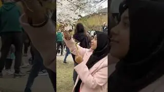 Cherry Blossom in Toronto🌸 #raisarezwana #cherryblossom #toronto #pinkpetals #cherry #youtubeshorts