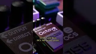 Boss OC-5 Octave pedal is bass player&rsquo;s main workhorse!