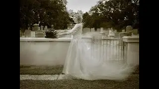 Maggie Mills - The Ghost of Authors Present