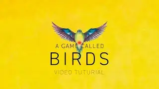 How To Play Birds... In under 10 minutes