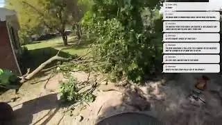 (Live Stream) Tree Work
