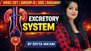 Excretory system | उत्सर्जी तंत्र । lecture no. 6