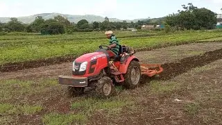 Massey ferguson 6028 4&times;4 | 5 tynes cultivator performance