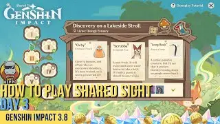 Shared Sight Day 3 Event Guide | Small Animal All Locations Challenge III Speedrun | Genshin Impact