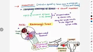 Part 4 : Clinical anatomy of Breast