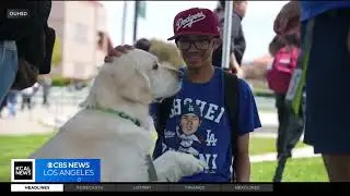 OUHSD Wellness Centers featured on KCAL News