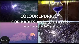 Colours: Purple for kids to learn - everything purple for babies, toddlers, kids | educational video