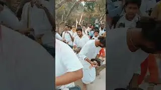Gilmpse of Braja mandala parikrama #shortvideo #Shorts