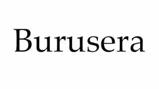 How to Pronounce Burusera