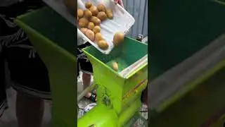 #Sweet potato processing#Potato starch separator