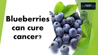 Blueberry |Blueberry Myths | Blueberry facts |  Blueberry Benefits | Nutrition | What Study Shows