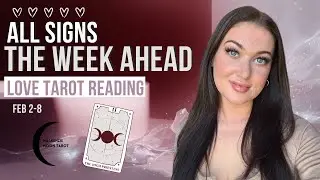 ALL SIGNS ♡ What They’re Realizing About You + Their Next Action (or Inaction) | Feb 2–8 ♥️