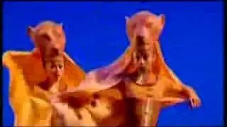 The Lion King Musical