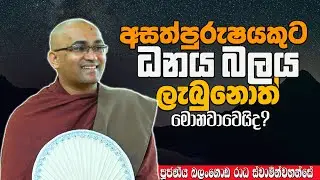 අසත්පුරුෂයකුට ධනය බලය ලැබුනාම සත්පුරුෂයාට වෙන දේ දන්නවාද? | Ven Balangoda Radha Thero | Daham Potha