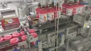 Pick & Place Loading System (Case of Bottle Gum)