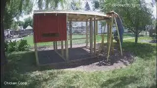 Chicken Coop with run, Day 15