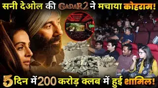 Sunny Deol's Gadar 2 Collect That Much Money on Indian Box Office