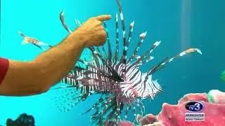 WPI Robotic Fish - September 5th, 2018