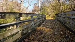 Vesey Park Trail