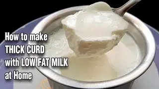 KITCHEN TIPS : How to make THICK CURD with LOW FAT MILK in Tamil |  With English Subtitle | Cookrazy
