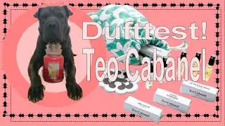 Teo Cabanel wir testen alle D&uuml;fte mit dem Probenset || Mama von Maple
