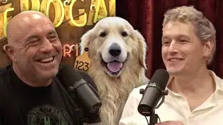 Can Joe Rogan Justify Eating Meat? A Philosophical Breakdown