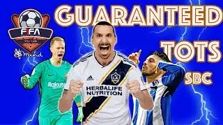 Fifa 19 - MY INSANE GUARANTEED COMMUNITY TOTS PACK! #tots #fifa19 #sbc