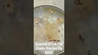 Special Drink For Goats Recipe By MGF