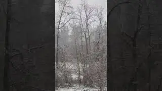 Spring snow storm - an out of season blizzard! #weather #snow