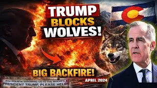 Colorado Wolf Program Stopped | Trump Federal Order Explained | Political Fallout Grows