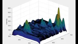 Mass density estimate