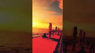 Merchant Navy Bulk Carrier Ship || Shorts || Status 🚢