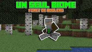 Minecraft mais birch forest