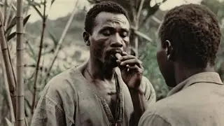 Inspired by traditional African music: 