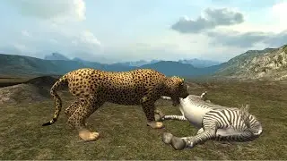 Real Cheetah SimaReal Cheetah Simulator - Cheetah Vs Lion, Deer, Zebra Android Gameplay #2