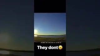 Cosmos🎶Tik Tok