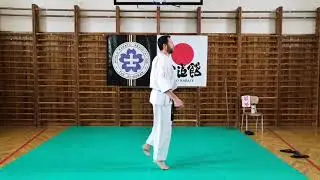Okami Team 士道館 - online tr&eacute;nink Shidokan Karate Vrchlab&iacute; a Rudn&iacute;k #3