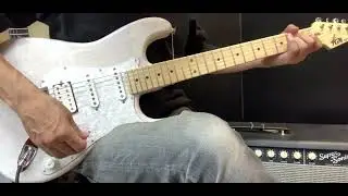 Fujigen Fgn NST110MAH 【商品紹介@Guitar Planet】