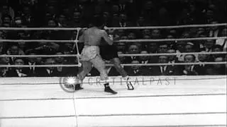 Masahiko Harada wins the World Bantamweight Title in boxing, Nagoya, Japan. HD Stock Footage