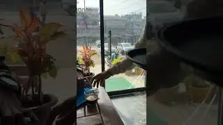 Local cafe Nepal || Organic Coffee spot