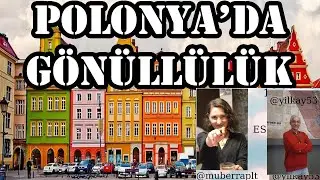 Polonya'da Gönüllü olmak