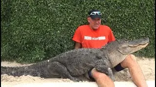 Paul Bedard debunks 3 alligator myths at Everglades Holiday Park