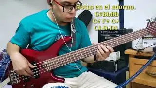 CTUE medley Que todos los Pueblos. BassTutorial