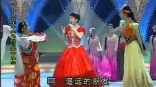 彭丽媛《遥远的朋友》1995春晚