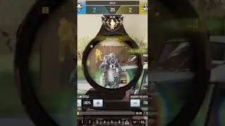 shoot to kill