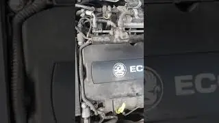 Vauxhall Astra H 2007 Engine tapping Problem